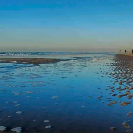 Gehele Woning, Egmond Aan Zee, 400M Van Het Strand *